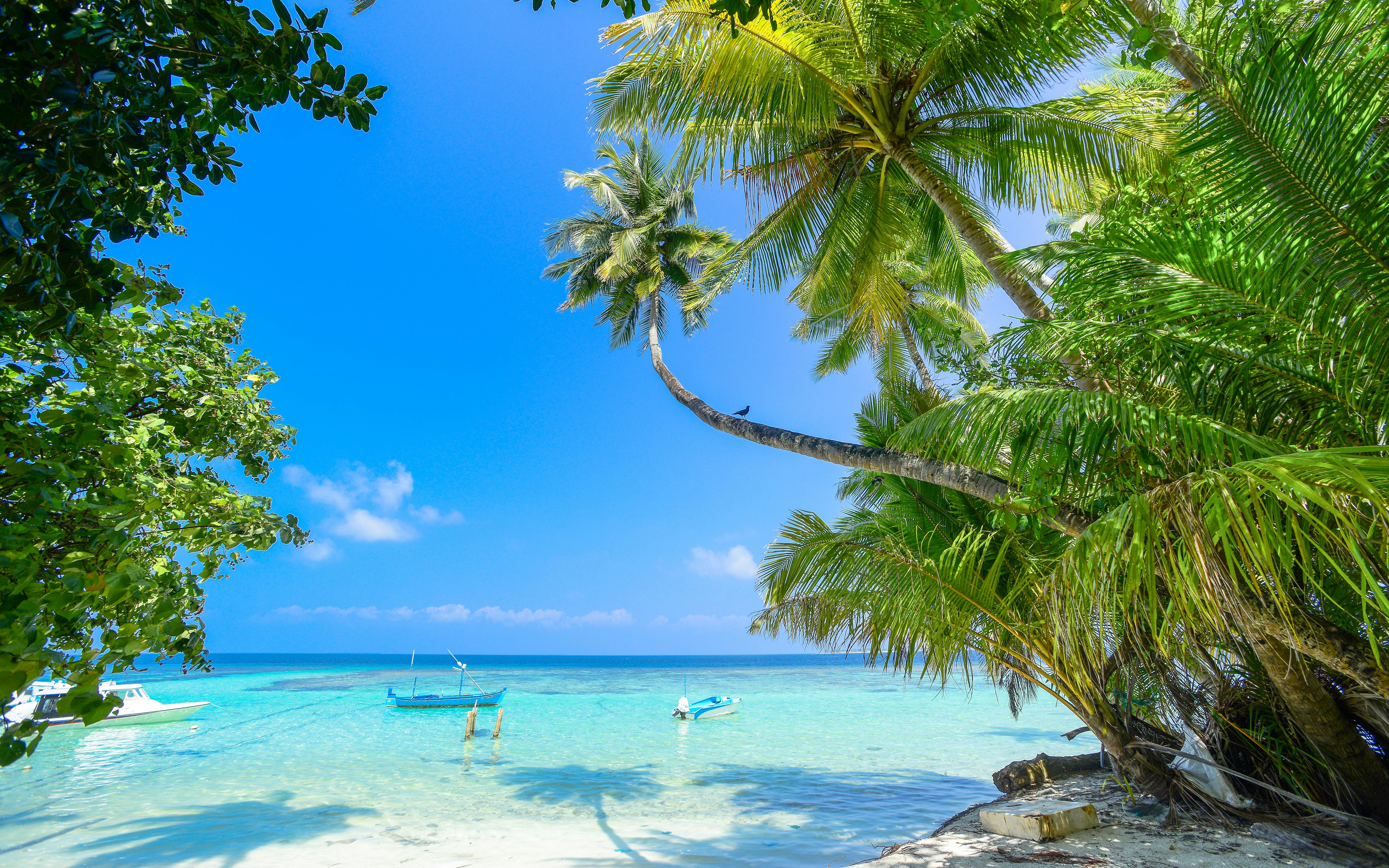 Los 5 Mejores Destinos de Crucero para 2026